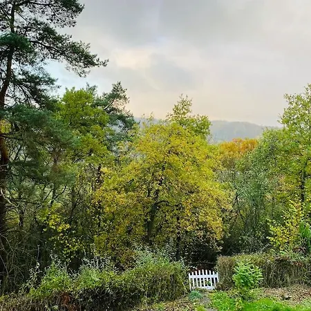 דירה Schoene Mit Waldblick In דילנבורג