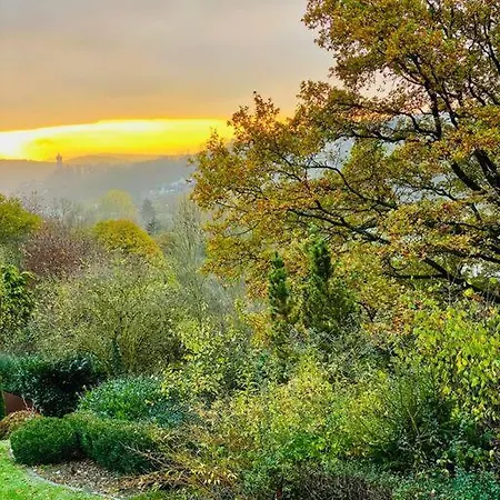 דירה Schoene Mit Waldblick In דילנבורג