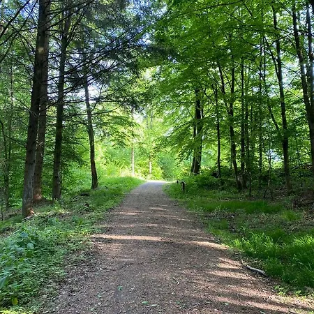 Lejlighed Schoene Mit Waldblick In Dillenburg