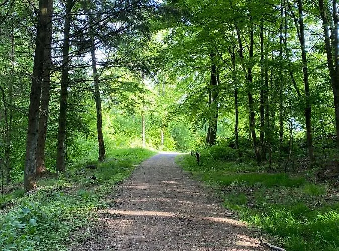 Apartamento Schoene Mit Waldblick In Dillenburg